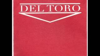 DEL TORO ( banda fusion)