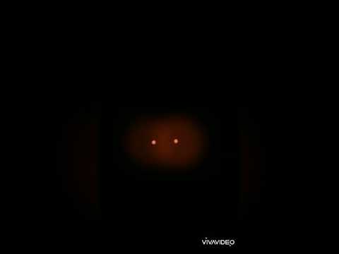 Cassie se encuentrq con mimic Fnaf RUIN