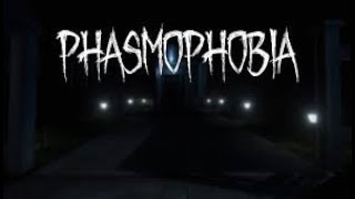 【Phasmophobia】身内でマルチ推理ホラゲー！参加者募集！