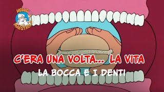 Siamo fatti così... la vita 🌱- La bocca e i denti