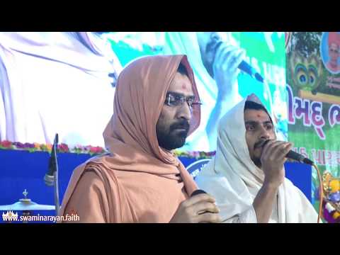 Raas Utsav ( રાસોત્સવ ) - Day 4