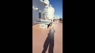 Tour of Goofy's Sports Deck on Deck 13 onboard the Disney Dream - Disney Cruise Line