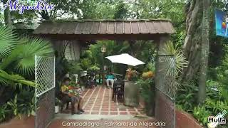 preview picture of video 'Balneario Palmares de Alejandría'