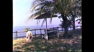 preview picture of video '1987 Zimbabwe    Lake Kariba, Hotel Carribbea Bay, VHS40/1, by HabariSalam, Plage, Ponton'