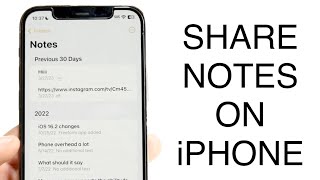 How To Share Notes On iPhone! (2023)