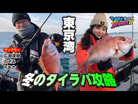 東京湾・冬のタイラバ攻略（ソルパラTV・第174回2024年1月25日放送）
