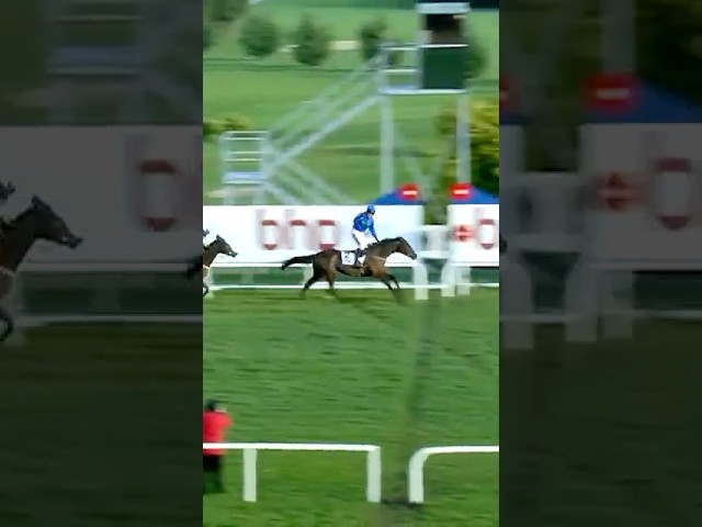 Thumbnail for Post ID: _n0HConK28U