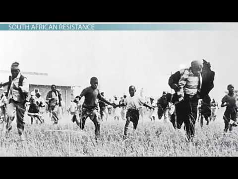 the fight against apartheid