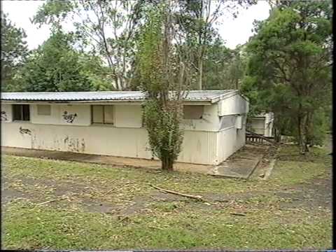 170.... (2001) De wereld van Boudewijn Buch - Easybeats "Friday on my mind"