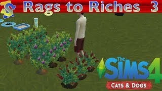 Let's Play The Sims 4 Rags to Riches Cats and Dogs EP3