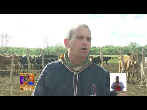 Cuba: Estrategias para desarrollo local en municipio de Perico