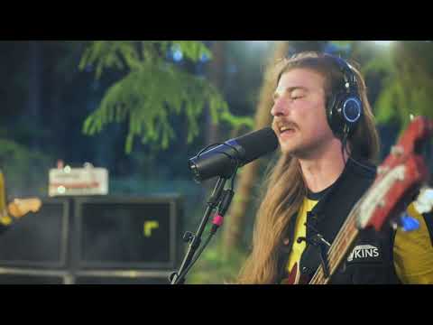 THE HAWKINS - STRANGER IN THE NEXT ROOM (Live in the Woods)
