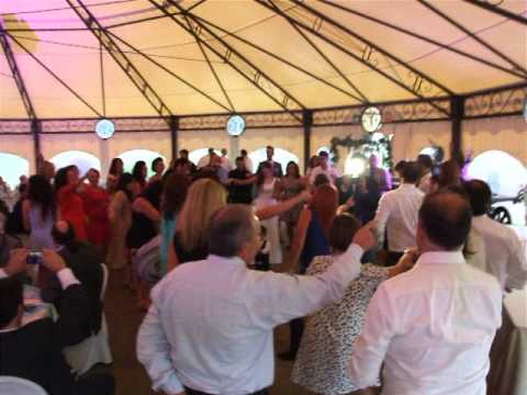 BALLI DI GRUPPO MUSICA ANIMAZIONE MATRIMONIO PARCO LE CICOGNE BARENGO NOVARA BY ALEX ZITELLI