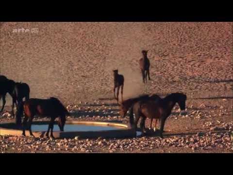 NATUR-DOKU: Afrikas  Wilder Westen  -  Die Namib (HD)
