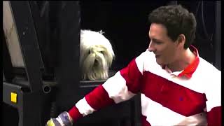 Samson &amp; Gert - Wij gaan beginnen(1080p)