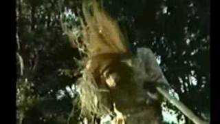 Rustic Hinge & the Provincial Swimmers - Lychee