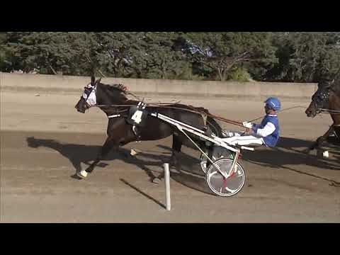 Ippodromo dei Sauri - 7' corsa del 22 settembre 2022