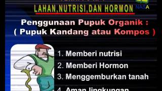 Download lagu Tembang Kenangan - Lagu Kenangan - Ratih Purwasih - Ayah mp3