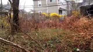 preview picture of video '14 Page Street, Dorchester, MA'