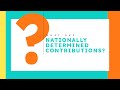 What are Nationally Determined Contributions (NDCs) under the international climate change process?