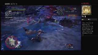 [実況]MHIB　狩猟笛 VS 初見ネロ・ミュール