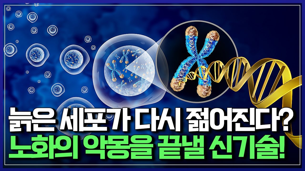 늙은 세포가 다시 젊어진다?노화의 악몽을 끝낼 신기술! | 다큐S프라임 [반복재생]/YTN 사이언스