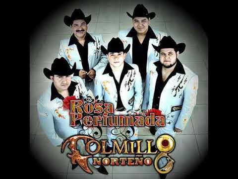 Colmillo Norteño - Rosa Perfumada