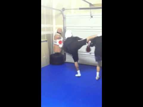 Fouad El-Chemali vs Ryan Andrada brutal kick