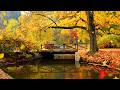 "September's Peaceful Embrace" Beautiful Relaxing Music, Peaceful Instrumental Music by Tim Janis