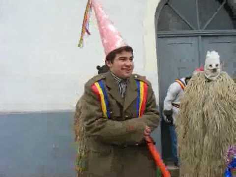 lupu ingheata de frig:)) viflaim 2007