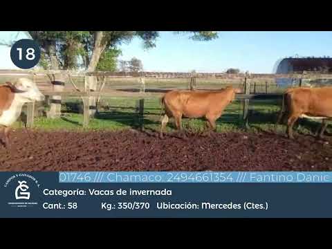 Lote Vc Inv- Mercedes Ctes