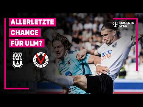 bg-highlight