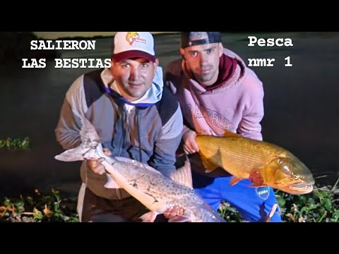 Pesca en ibicuy.pescamos en la boca de la lechiguanas un lugar único 