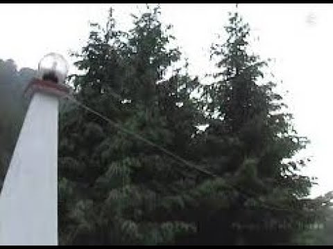 Poiana Sarata. Bacau 2006.