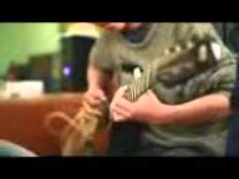 Ariel NOAH Feat Budi Doremi - Sahabat