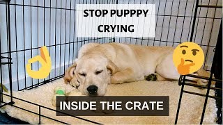 How to Stop Puppy Crying Inside The Crate at Night