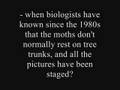 Answers to "Ten questions to ask your biology ...