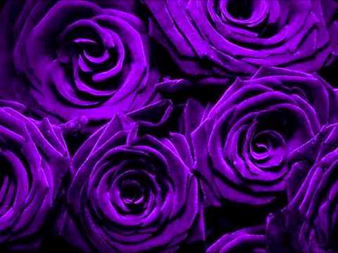 afroora’s Video 41938359952 _n60qE46Ga4