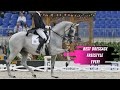 The Hip Hop Dressage Horse Blu Hors Matine The Best Grand Prix Dressage Freestyle Ever