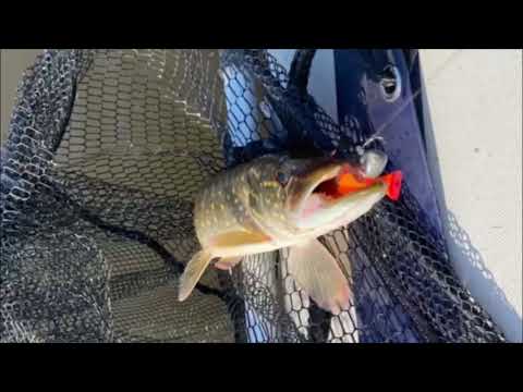 Campingangler.de - Campingplatz Oase Eider