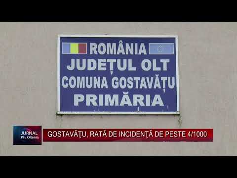 GOSTAVĂŢU, RATĂ DE INCIDENŢĂ DE PESTE 4/1000