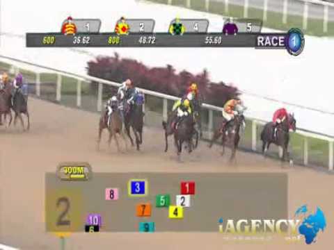 SINGAPORE RACE 21/02/2014 RACE 1 - iAgencyNet.com