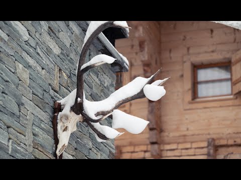 10 Jahre CERVO - Ein Blick zurück