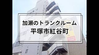 YouTube動画