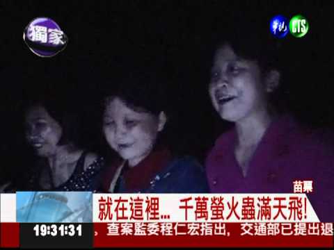 賞"螢"季節到 免費景點曝光了!