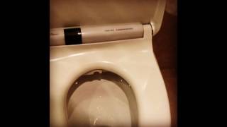 Brian May "Hello Toilet !!" - 17072017