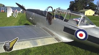 Interview with owner of Queen's Flight Chipmunk