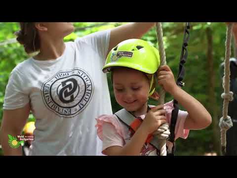 Brandmovie Waldseilgarten Herrenberg