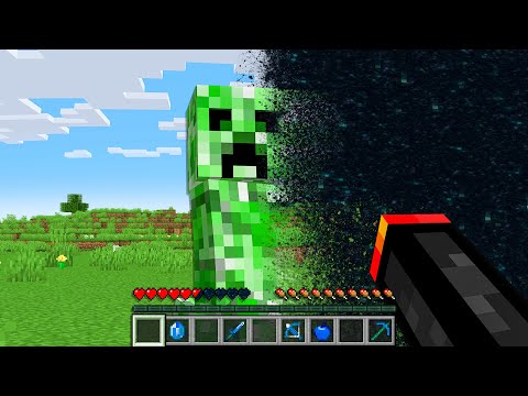 Minecraft But Everything I Touch turns to VOID