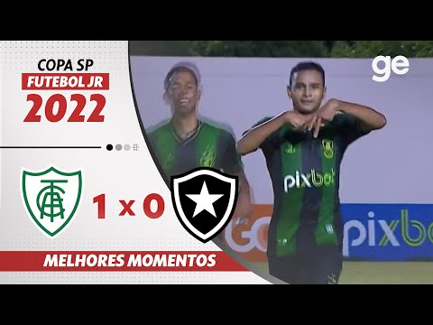 Gols e lances de América-MG x Botafogo
